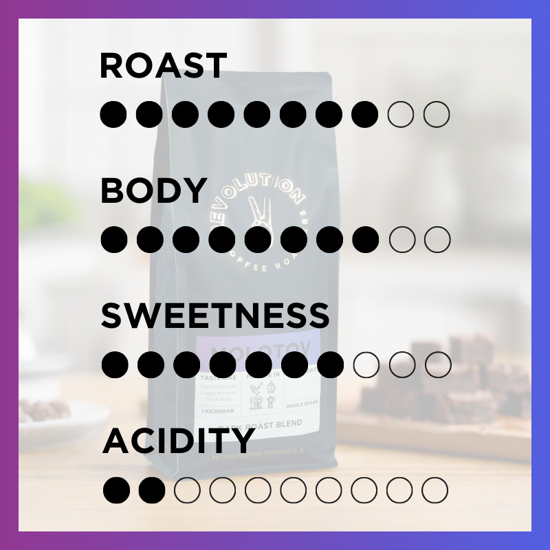 MOLOTOV Dark Roast