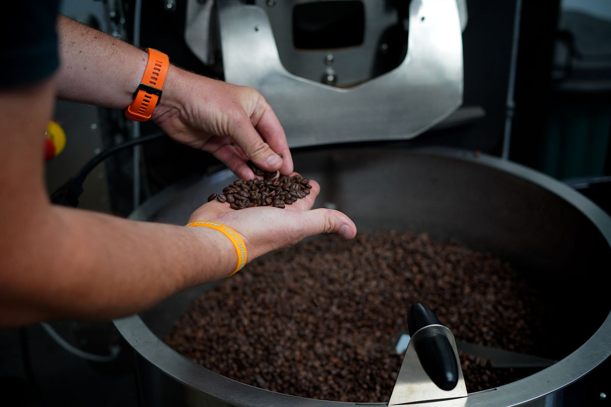 revs coffee